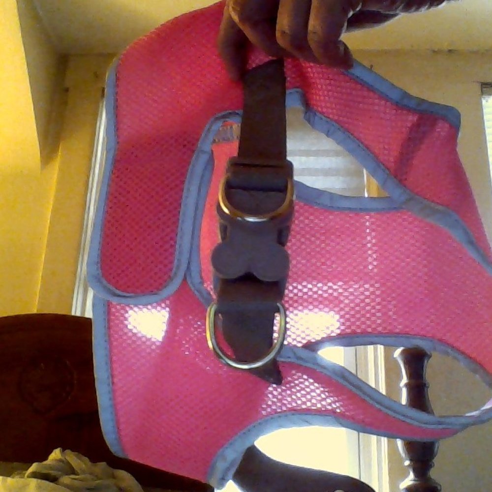 Dog Harness